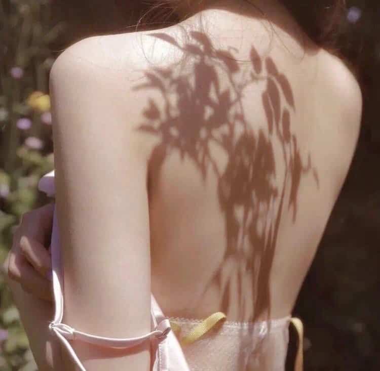 老友记重聚特别篇导演剪辑版高清中英双字幕经典情景喜剧怀旧回忆